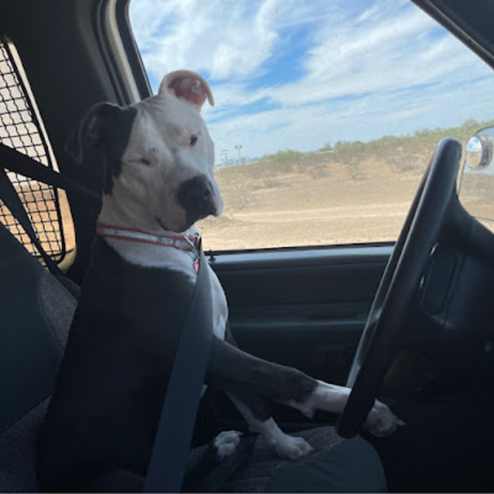 Meet your Posher, Stephanie